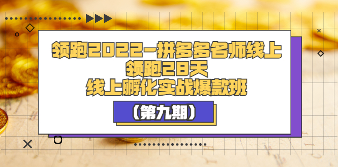 【副业项目3821期】拼多多名师线上领跑28天，拼多多线上孵化实操爆款班（第九期）-欧乐轻创网