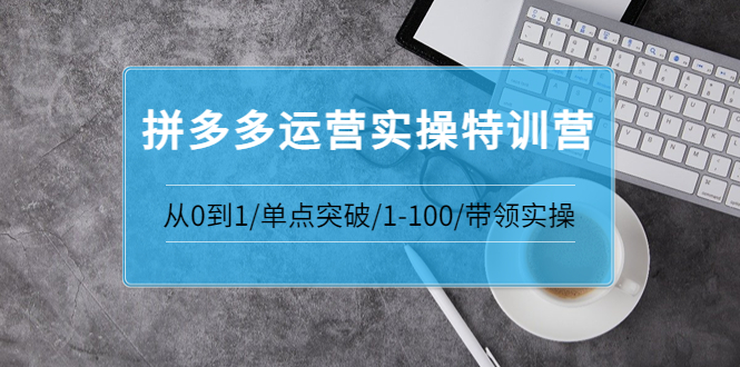 【副业项目3863期】拼多多运营实操特训营：拼多多直通车进阶优化技巧，拼多多如何操作利润最大化-欧乐轻创网