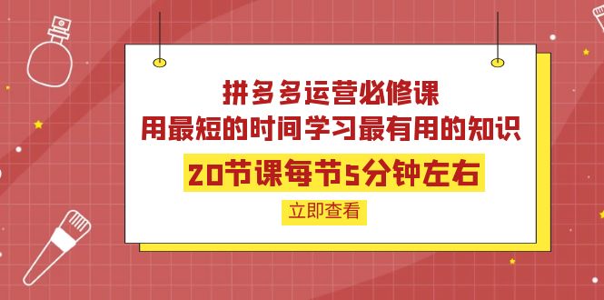 【副业项目4189期】拼多多运营必修课：20节课每节5分钟左右，用最短的时间学习最有用的知识-欧乐轻创网