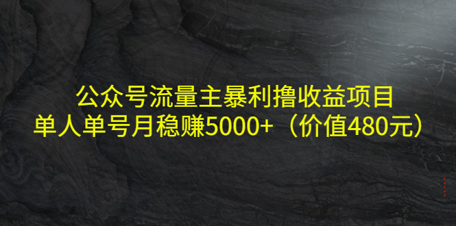 【副业项目4325期】公众号流量主暴利撸收益项目，单人单号月稳赚5000+（价值480元-欧乐轻创网