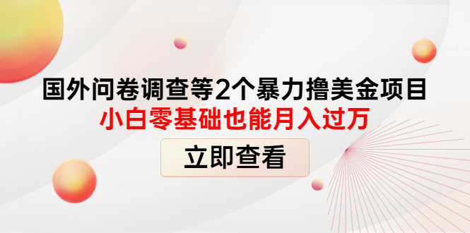 【副业项目4372期】国外问卷调查等2个暴力撸美金项目，小白零基础也能月入过万-欧乐轻创网