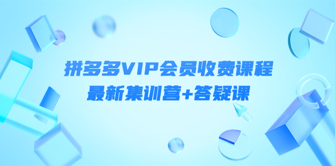 【副业项目4426期】某社群·拼多多VIP会员收费课程，最新集训营+答疑课-价值3299元-欧乐轻创网