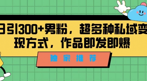 【副业项目7191期】独家推荐！日引300+男粉，超多种私域变现方式-欧乐轻创网