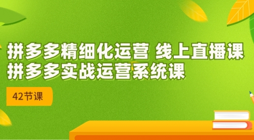 【副业项目7292期】2023年新课-拼多多精细化运营-欧乐轻创网