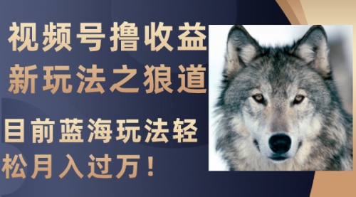 【副业项目8271期】视频号撸收益新玩法之狼道，目前蓝海玩法轻松月入过万！-欧乐轻创网